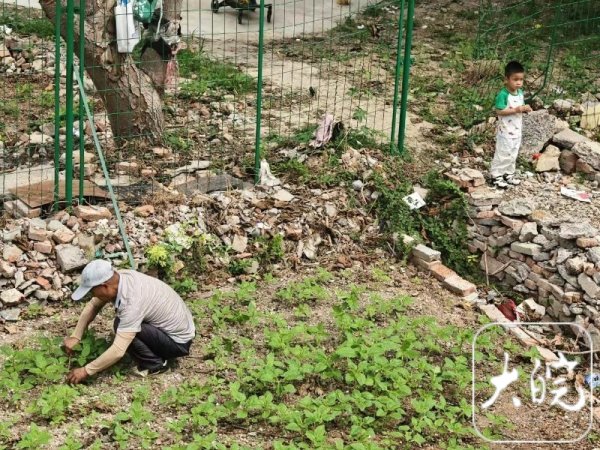 新富策略 蚌埠：拆除铁道旁的“开心农场”_大皖新闻 | 安徽网