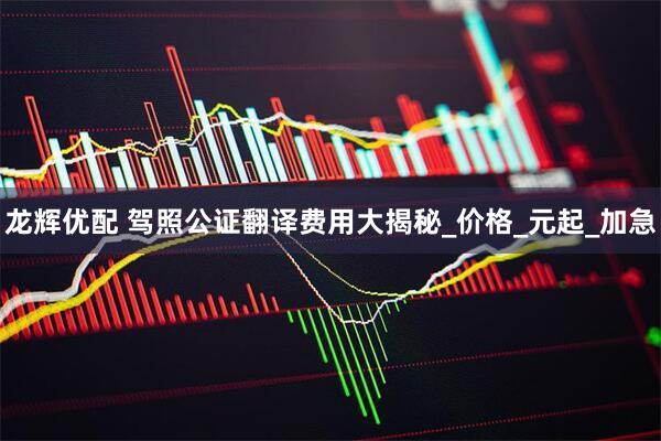 龙辉优配 驾照公证翻译费用大揭秘_价格_元起_加急