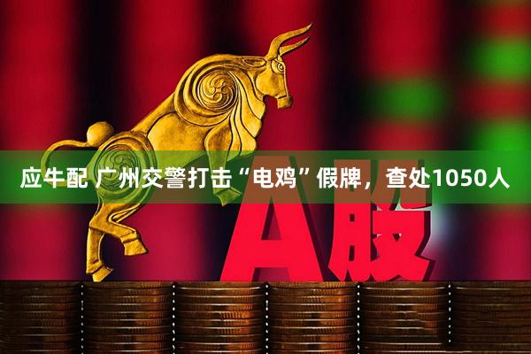 应牛配 广州交警打击“电鸡”假牌，查处1050人